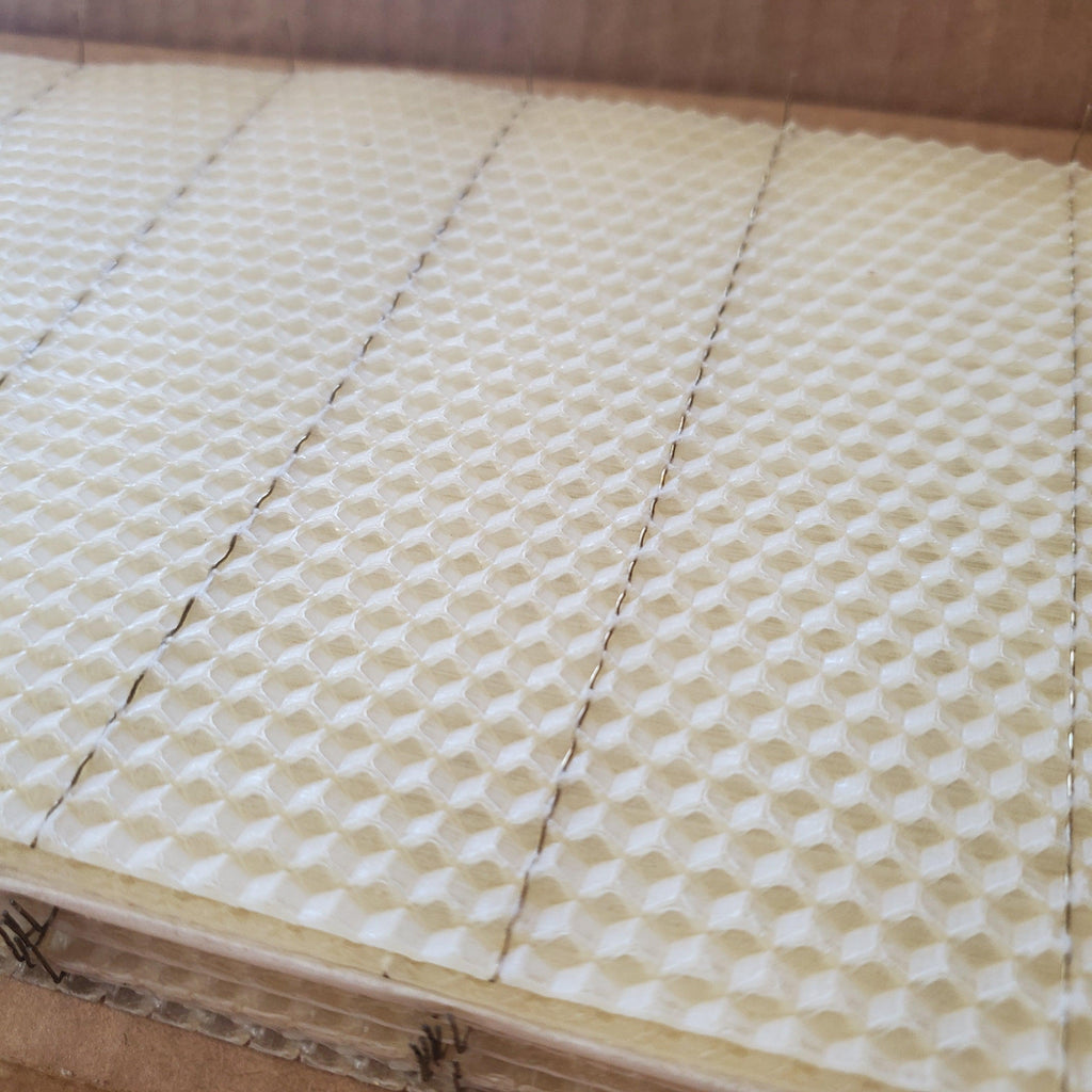 Deep Beeswax Foundation - Wired With Hooks - 8 3/8-inch-Woodenware and Kits-10 Pack-Foxhound Bee Company
