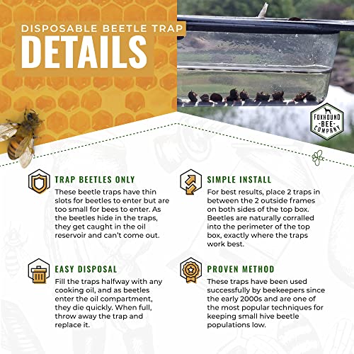 Disposable Small Hive Beetle Trap-Supplies-Single-Foxhound Bee Company