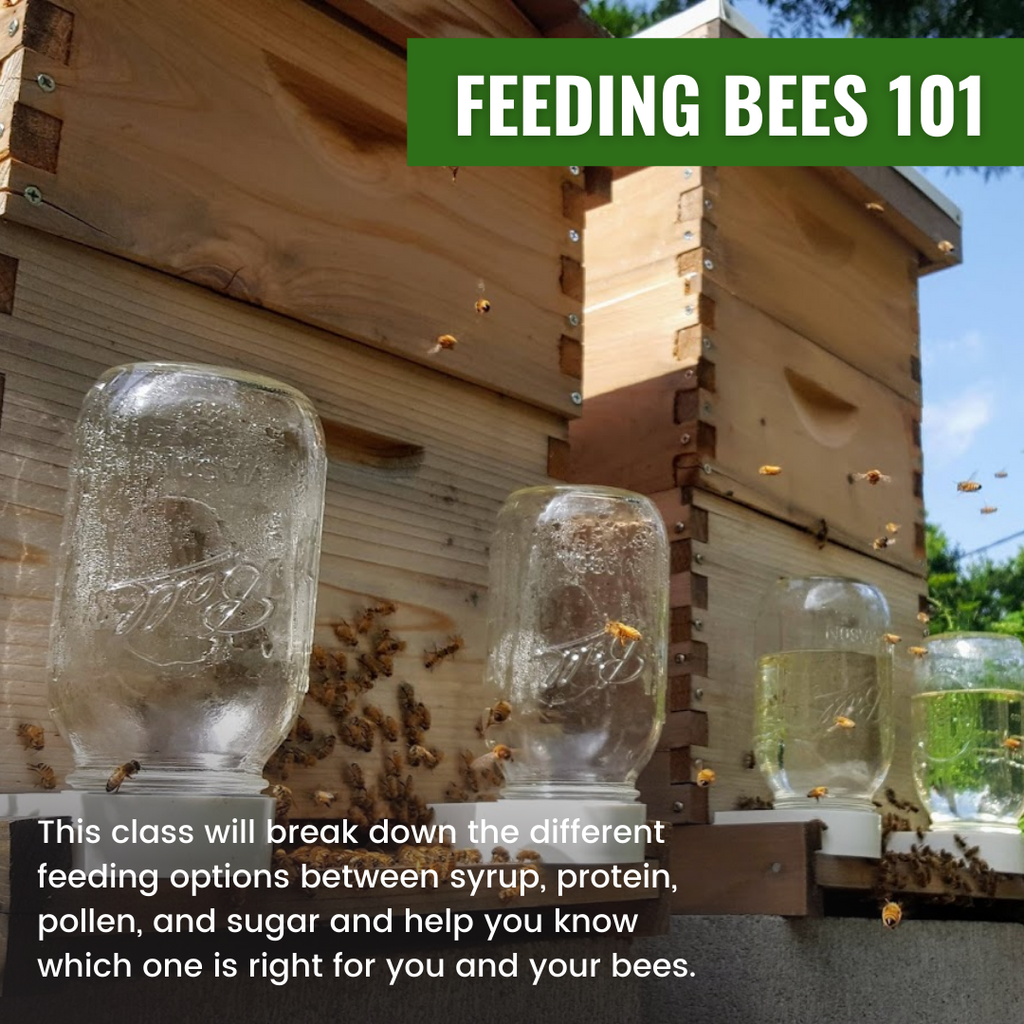 Feeding Bees 101-Education-Foxhound Bee Company