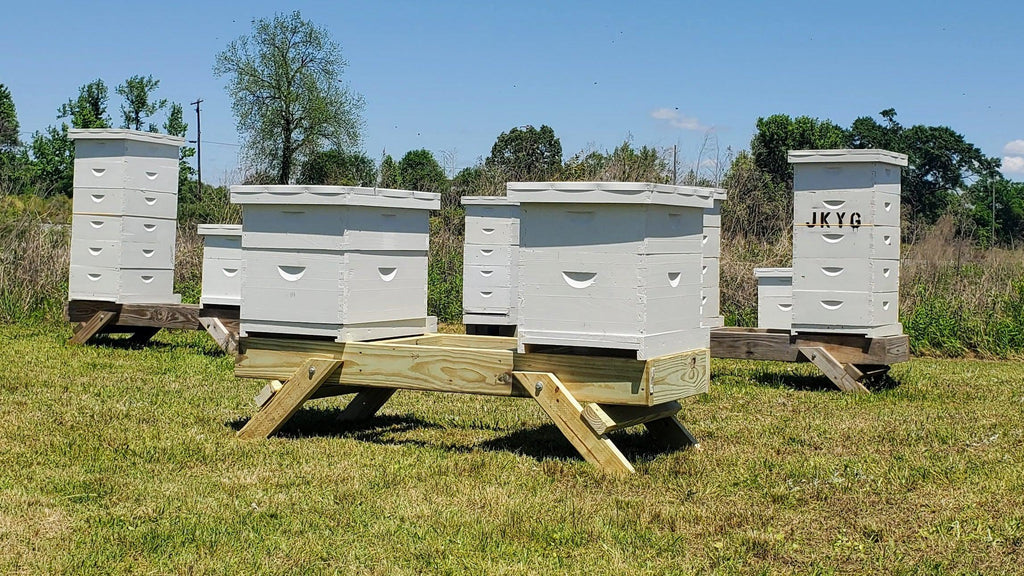 Folding, Three Hive Stand-Supplies-Foxhound Bee Company