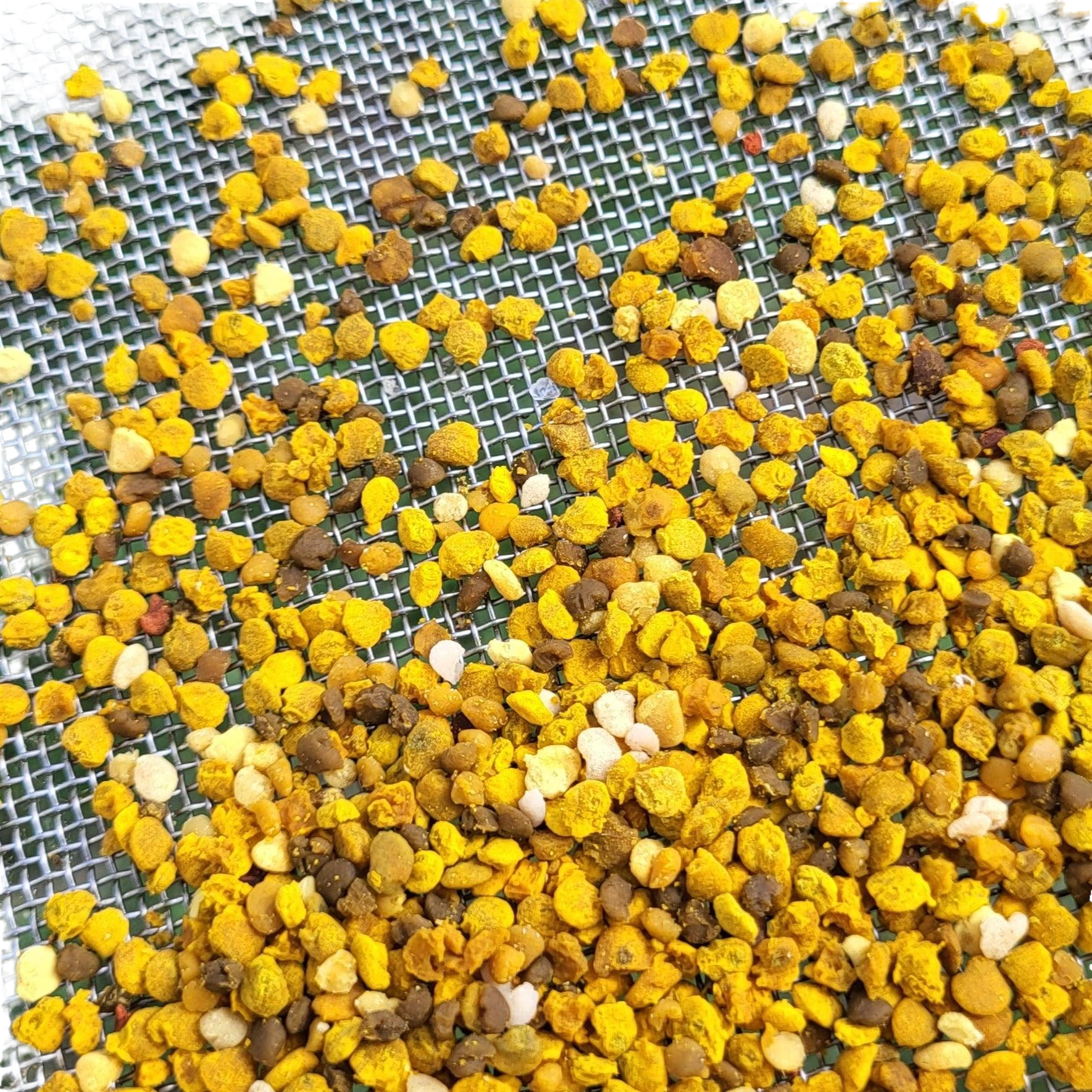 Fresh Birmingham Bee Pollen