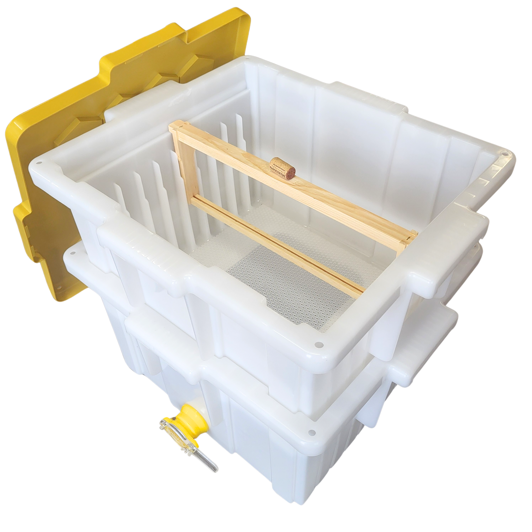 BEEHIVE（蜂の巣） カイフランク BEEHIVE（蜂の巣） カイフランク