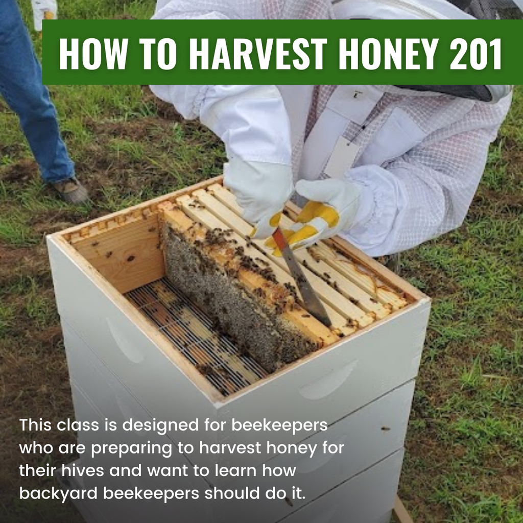 How To Harvest Honey 201-Education-Foxhound Bee Company