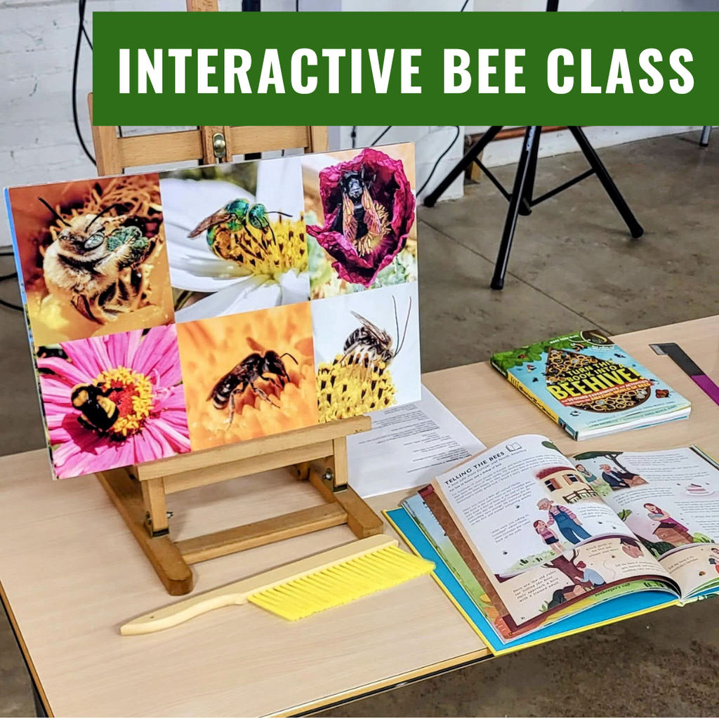 Interactive Bee Class-Foxhound Bee Company