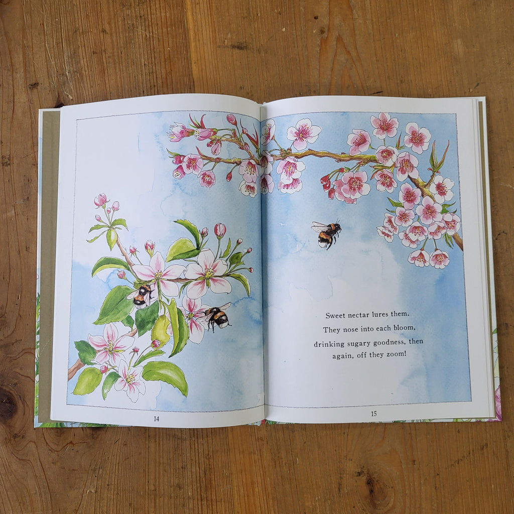 It Starts With A Bee Kids Book-Education-Foxhound Bee Company