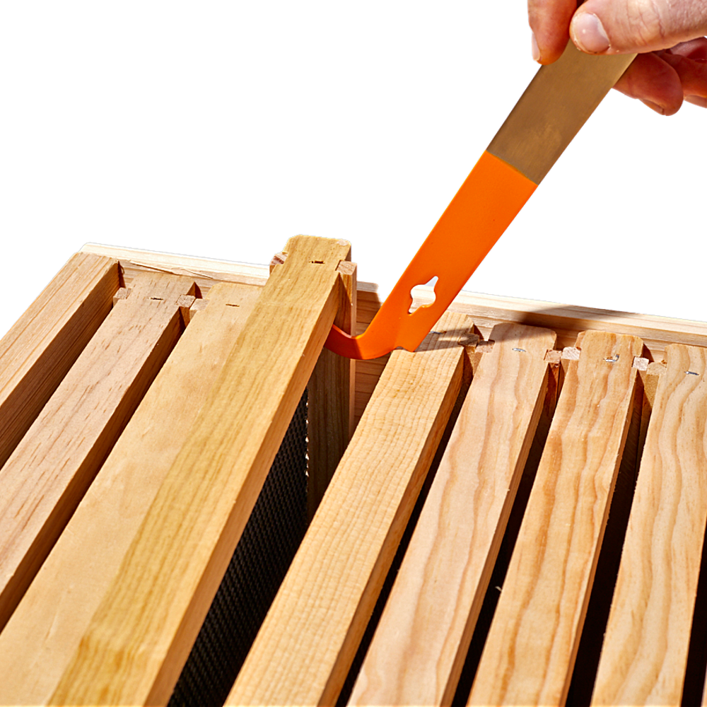 J Hook Orange Hive Tool-Supplies-Single-Foxhound Bee Company