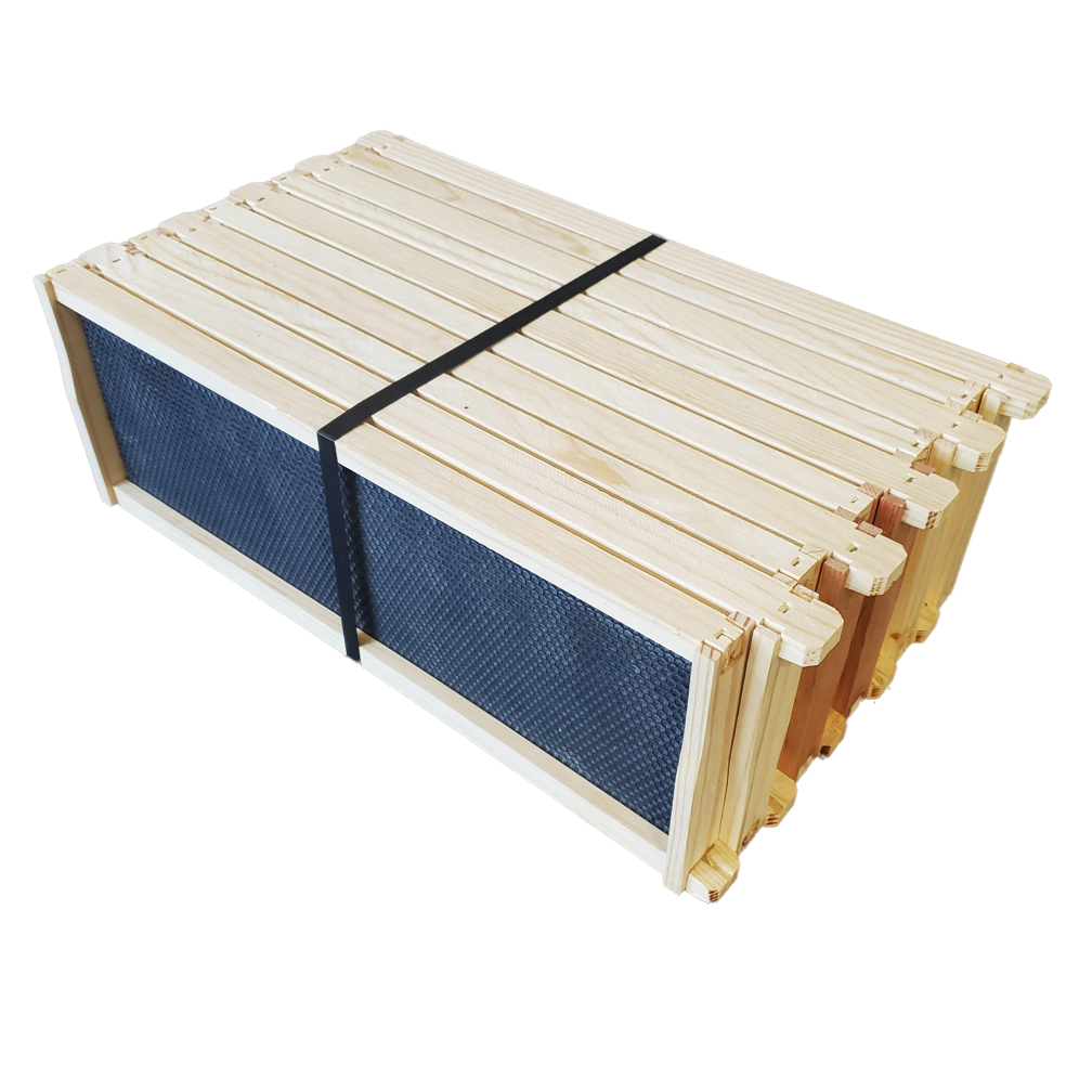 Medium 6 1/4-Inch Frame, Grooved Top / Grooved Bottom With Double Wax Foundation-Woodenware and Kits-10 Assembled Medium Frames with Foundation-Foxhound Bee Company
