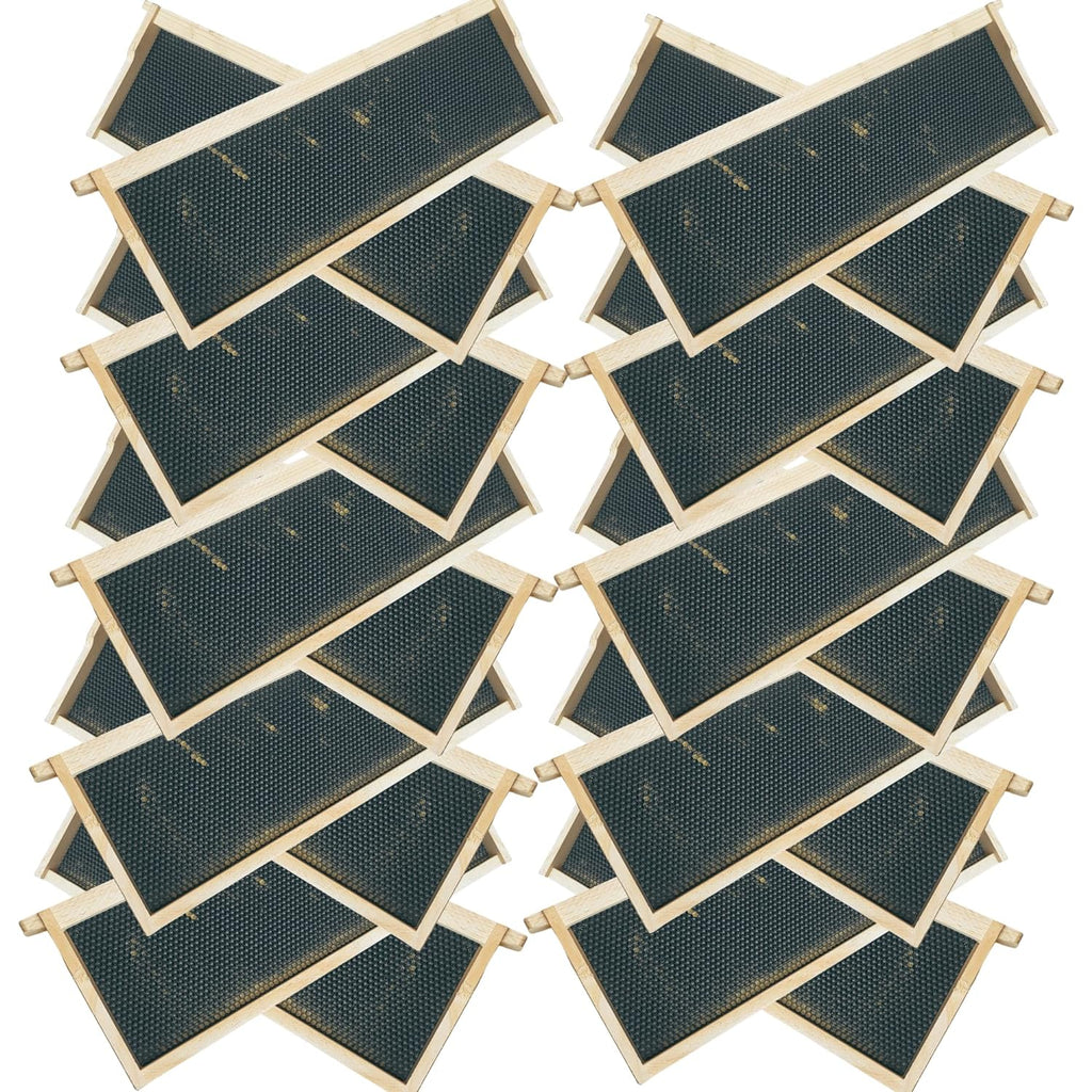 Medium 6 1/4-Inch Frame, Grooved Top / Grooved Bottom With Double Wax Foundation-Woodenware and Kits-20 Assembled Medium Frames with Foundation-Foxhound Bee Company