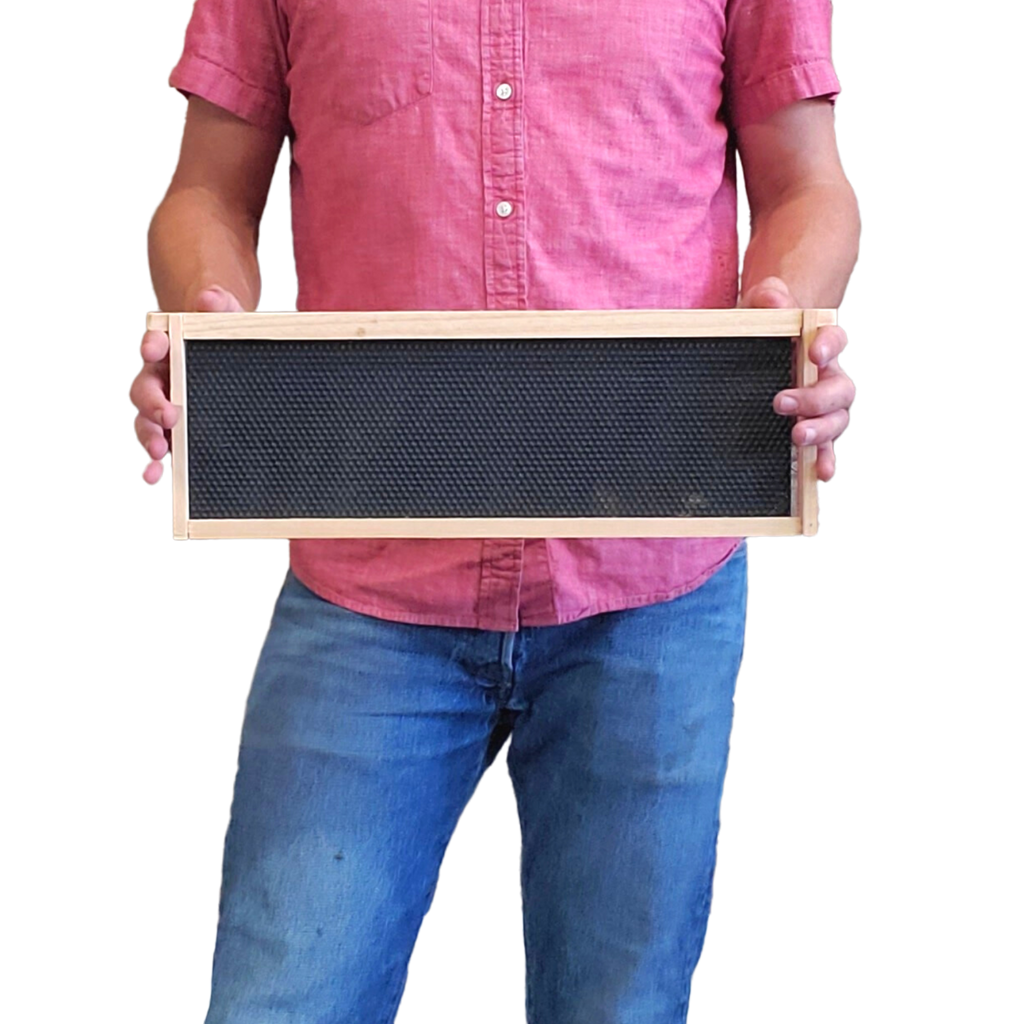 Medium 6 1/4-Inch Frame, Grooved Top / Grooved Bottom With Double Wax Foundation-Woodenware and Kits-1 Unassembled Medium Frame with Foundation-Foxhound Bee Company