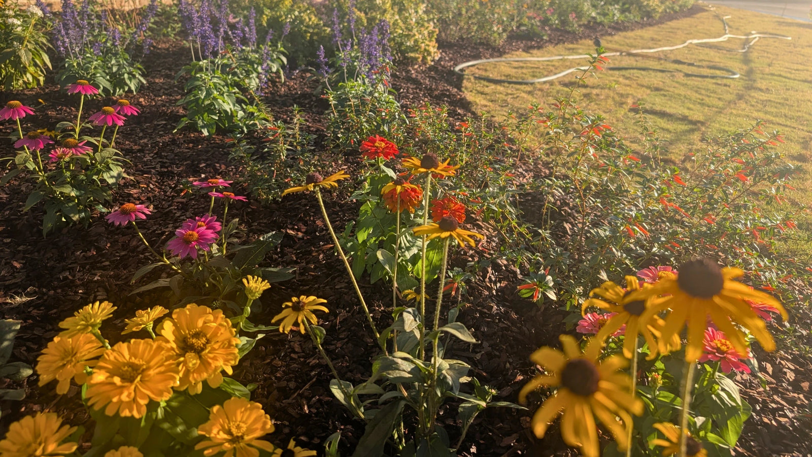 October Construction Update - Our New Hive Is Taking Shape