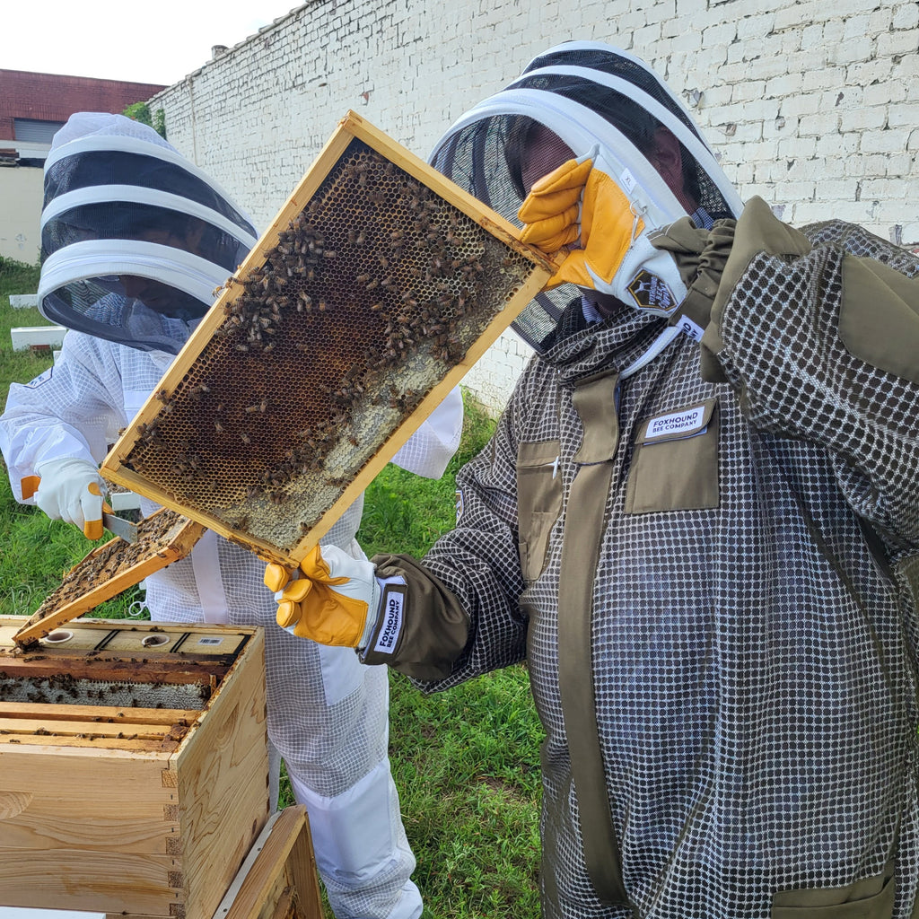Online Beekeeping Course--Foxhound Bee Company