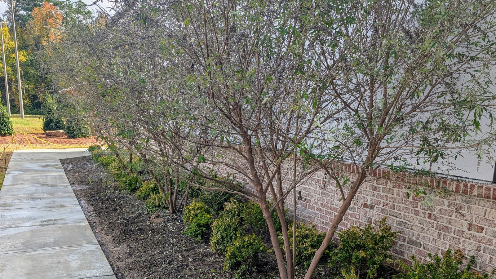 October Construction Update - Our New Hive Is Taking Shape