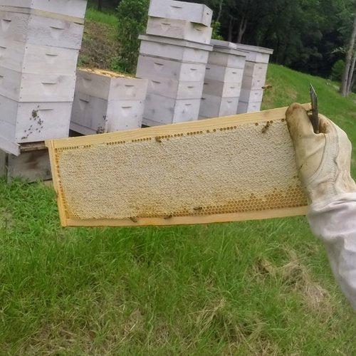 Private Class, In-Person or Online-Beekeeping Services-One-on-One Private Class In Person-Foxhound Bee Company