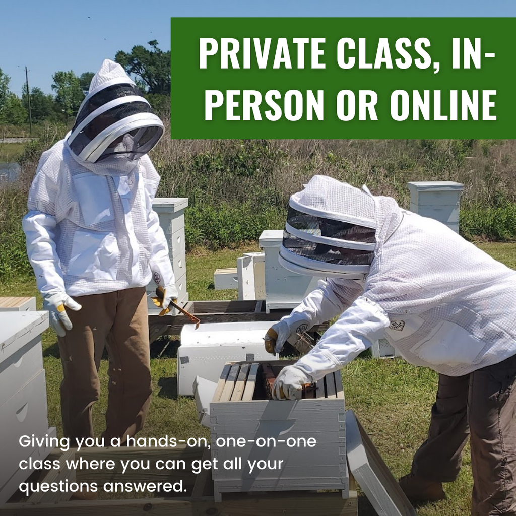 Private Class, In-Person or Online-Beekeeping Services-One-on-One Private Class In Person-Foxhound Bee Company