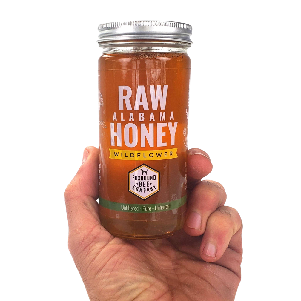 Raw Honey from Hoover, Alabama-Hive Products-1 lb (12 fluid ounces)-Foxhound Bee Company