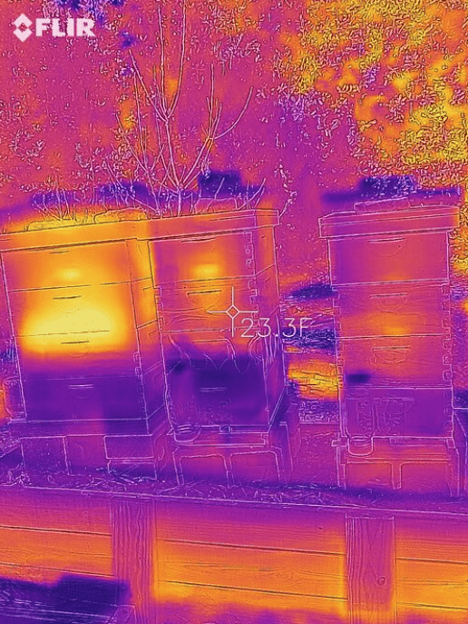 Rental - FLIR Handheld Thermal Camera Rental-Beekeeping Services-Foxhound Bee Company