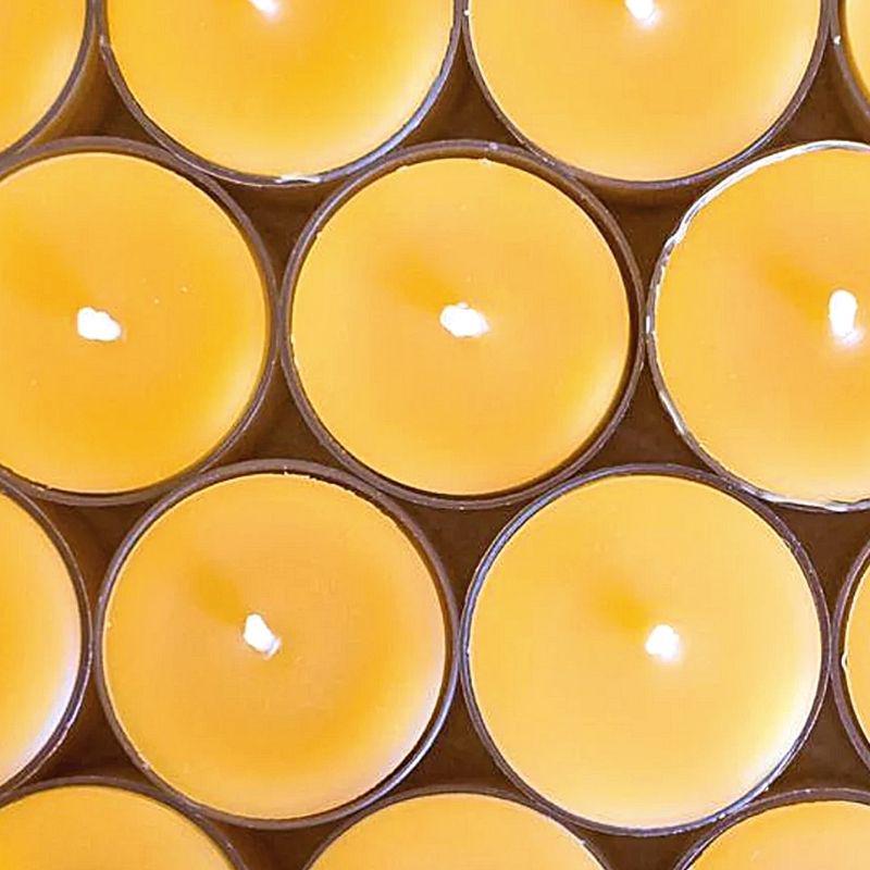 Tea Light Beeswax Candles-Hive Products-Set of 6-Foxhound Bee Company
