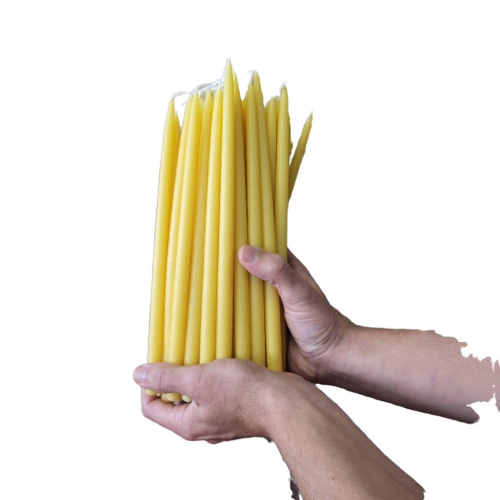 Thin Taper Beeswax Candles-Hive Products-Thin Taper 10 inch-36 Pack-Foxhound Bee Company