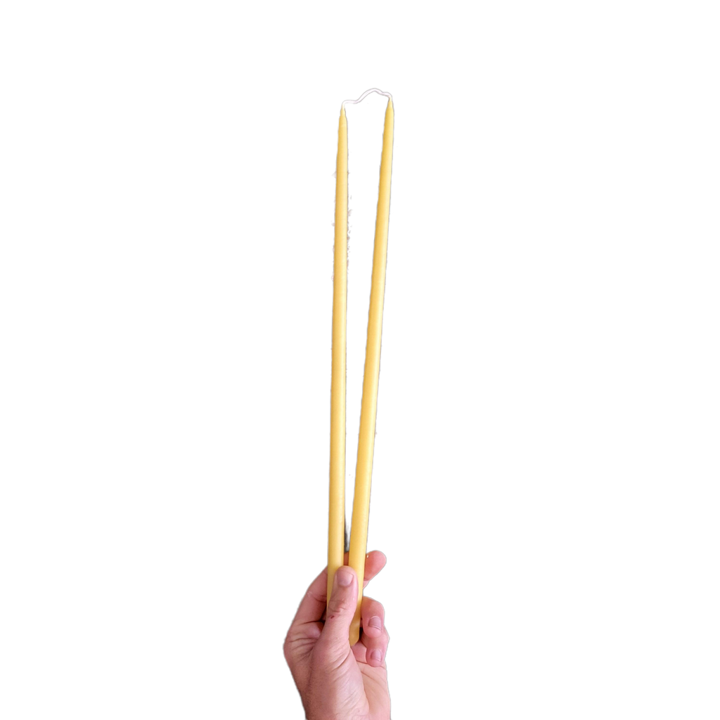 Thin Taper Beeswax Candles-Hive Products-Thin Taper 18 inch-2 Pack-Foxhound Bee Company
