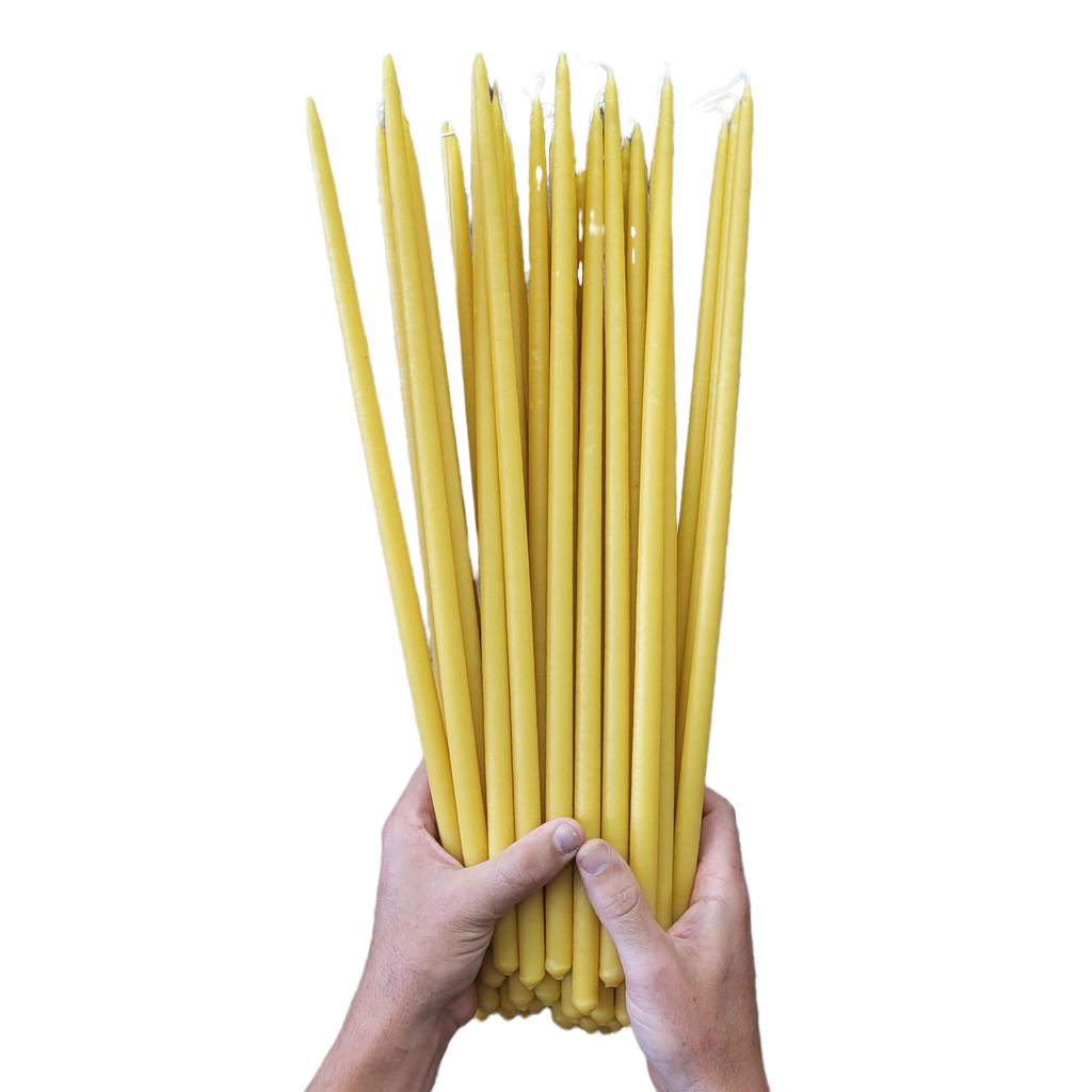 Thin Taper Beeswax Candles-Hive Products-Thin Taper 18 inch-36 Pack-Foxhound Bee Company