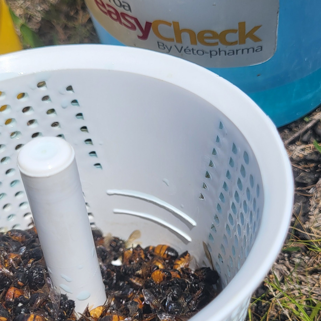 Varroa Easy Check-Foxhound Bee Company