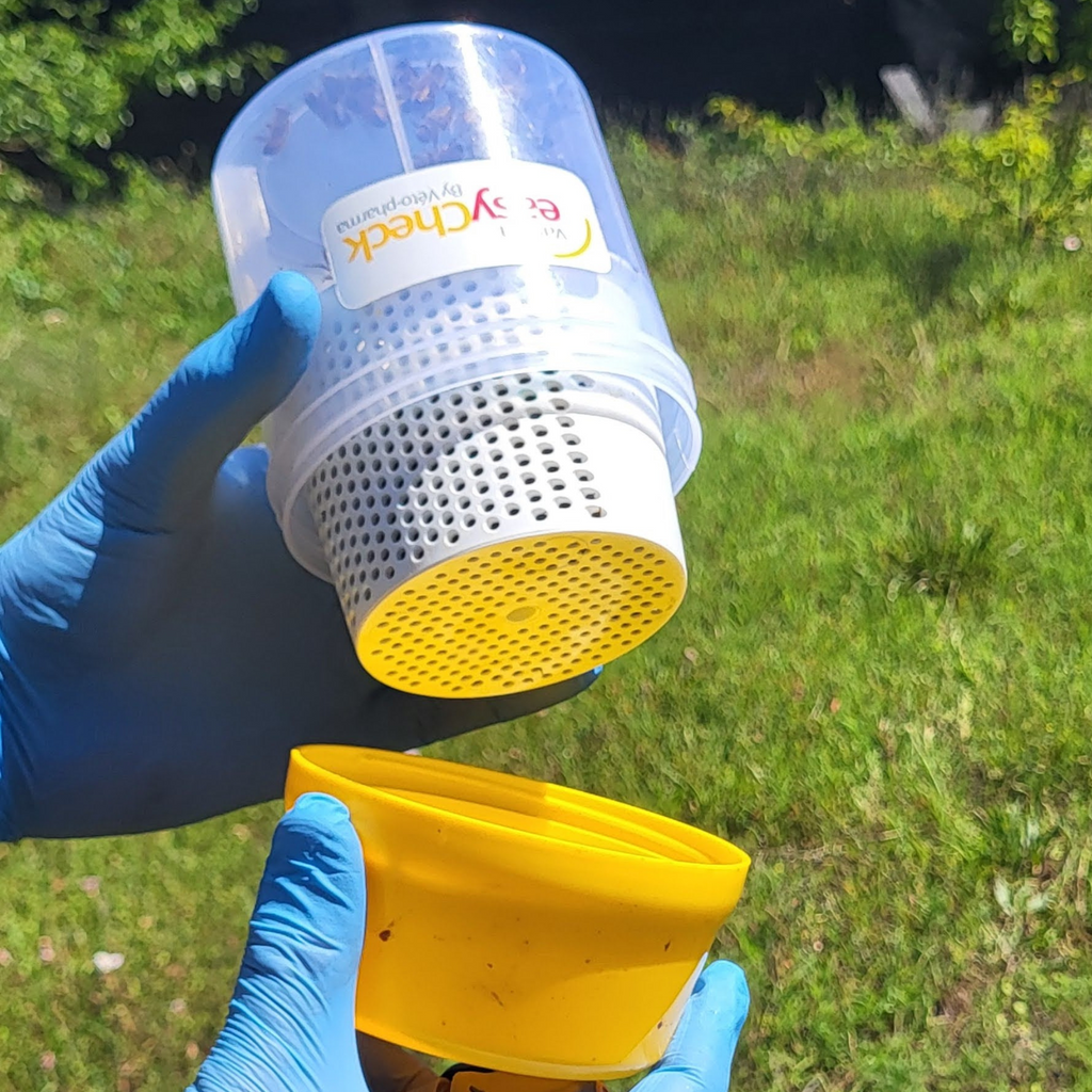 Varroa Easy Check-Foxhound Bee Company