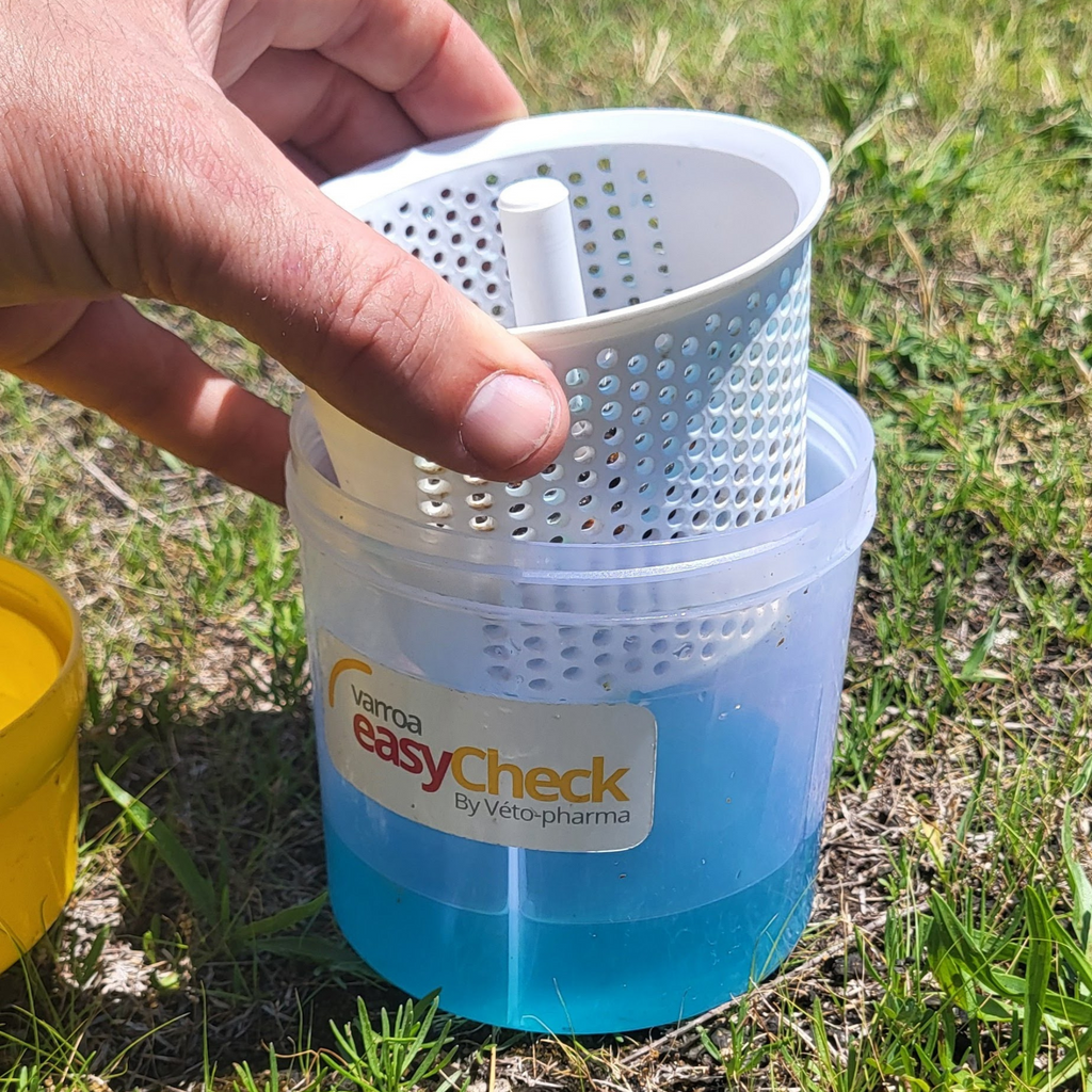 Varroa Easy Check-Foxhound Bee Company