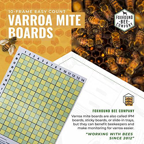 Varroa Mite Board-Supplies-10 Frame-Single-Foxhound Bee Company